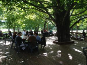 A group of people sitting at tables under a tree.